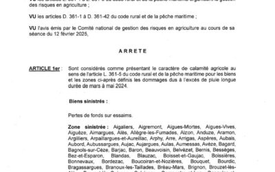 Arrêté perte de fonds sur essaim